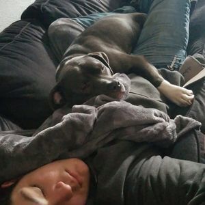 Meet your Posher, Samuel